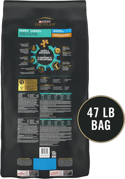 Purina Pro Plan Large Breed Chicken and Rice Formula Dry Puppy Food, High Protein Pet Food, 47 lb. Bag