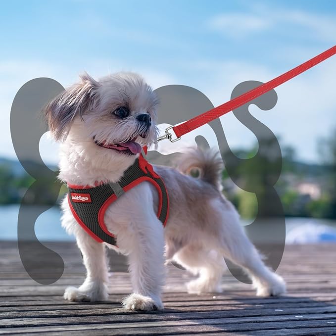 rabbitgoo Dog Harness Small Sized and Leash Set, Step-in Breathable Pet Harness, Soft Walking Reflective Puppy Vest for Small Dogs, Black & Red, S