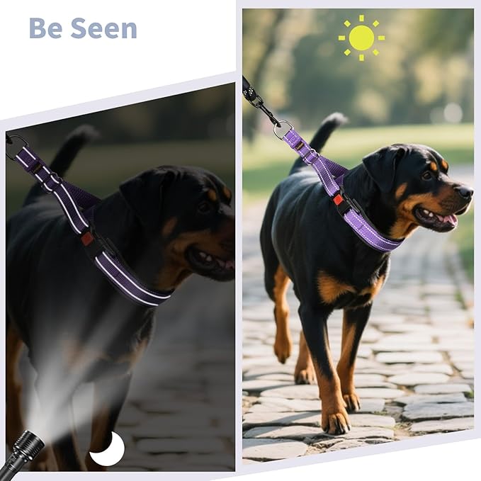 Mayerzon Martingale No Pull Collar for Medium Large Dogs, Patented Anti Pull Dog Collar with Buckle for Walking Training, with Reflective Stitching and Neoprene Padding, Adjustable(Purple, L)