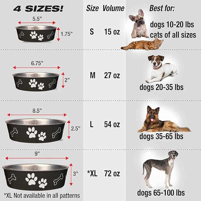 Loving Pets Bella Dog Bowls- Stainless Steel Dog & Cat Bowls - Spill Proof Dog Food Bowl, Cat Bowl, Puppy Essentials & Pet Supplies Great for Home & Travel (Small 10-20 lbs, Espresso)
