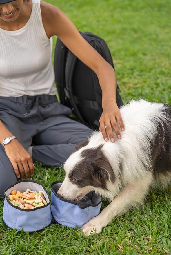 OllyDog Superbowl | Collapsible Dog Travel Bowl | 2 Compartment Food & Water | Foldable| Portable Dog Bowl | Hiking, Camping (Blue Heron)