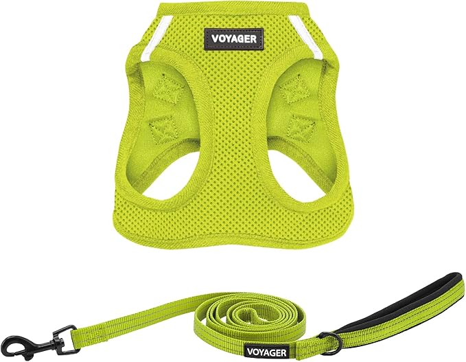 Best Pet Supplies Voyager Step-in Air All Weather Mesh Harness and Reflective Dog 5ft Leash Combo with Neoprene Handle, for Small, Medium and Large Breed Puppies - Set (Lime Green), Medium