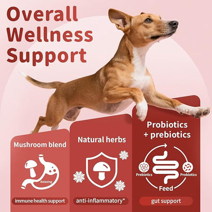Turkey Tail Mushroom for Dogs,Dog Allergy Chews, Probiotics for Dog Allergy Relief - Itchy Skin- Allergy Paw Relief - Seasonal Allergies & Immune Gut Health & Joint, Bacon Flavor - 90 Count