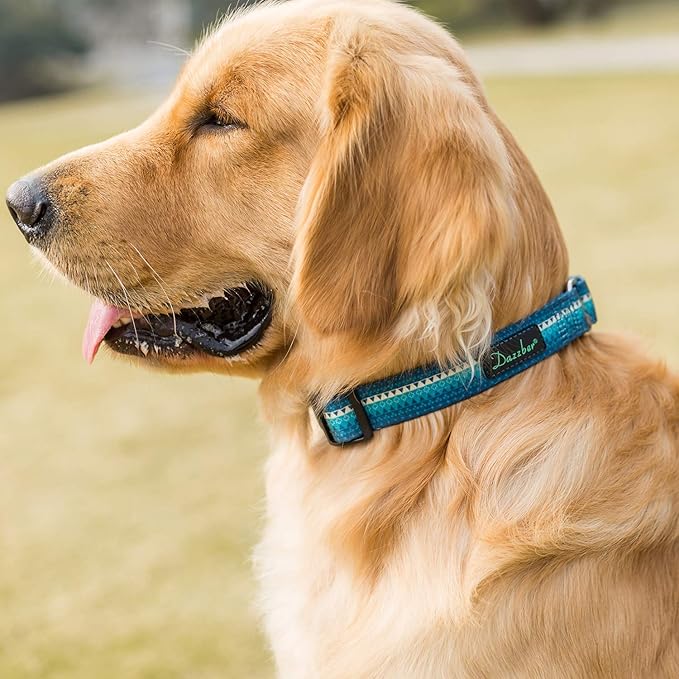 Martingale Dog Collar Turquoise Green, Neck 11"-15.5", Wide :1", Soft Durable No Pull Anti-Escape Pet Collar for Small Dogs