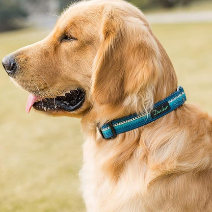 Martingale Dog Collar Turquoise Green, Neck 11"-15.5", Wide :1", Soft Durable No Pull Anti-Escape Pet Collar for Small Dogs