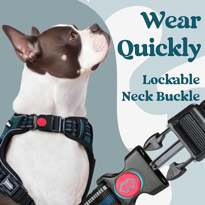 rabbitgoo Dog Harness Medium Sized, No Pull Pet Harness with 3 Buckles, Adjustable Soft Padded Vest with Control Handle, Walking Reflective Pet Vest for Medium Dogs, Blue Coral, M