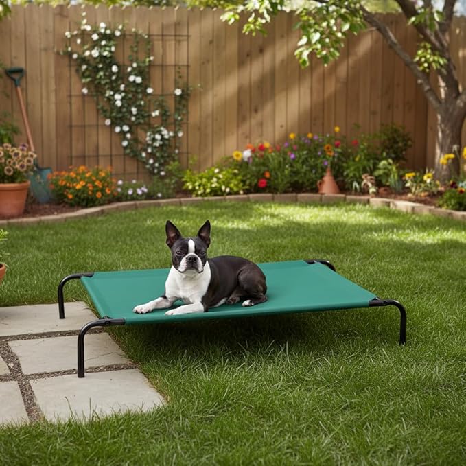 Amazon Basics Cooling Breathable Elevated Dog Bed with Metal Frame for Large Dogs, 51" x 31" x 8", Green, Easy to Assemble