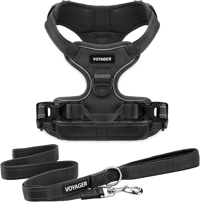 Voyager Dog Harness Dual Leash Attachment No-Pull Control Adjustable Soft but Strong Pet Harness for Medium and Large Dogs with 3M Reflective Technology, Leash Set Black Nylon, M (Chest: 20-25")