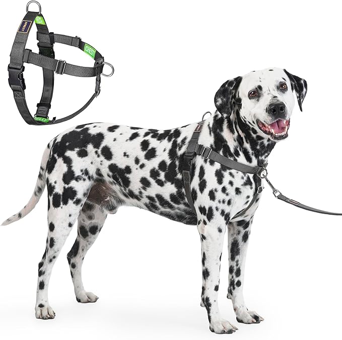 Freedom No Pull Dog Harness for Large Dogs, Easy Walker, Anti Pull with Two Stainless D-Rings, Comfortable, Sewn-in Instructions Tags for Easy Use (Black, XL)