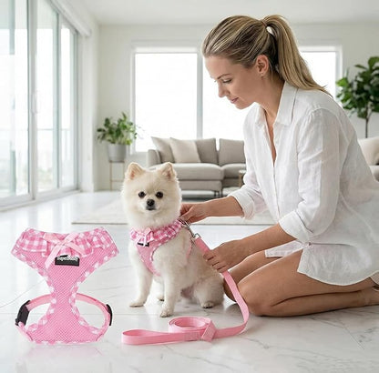 SuperBuddy Upgraded Soft Mesh Dog Harness, Super Breathable Lightweight Pet Harnesses for Puppy Dogs Outdoor Walking, Pink Dog Harness and Dog Leash Set Packing -Large