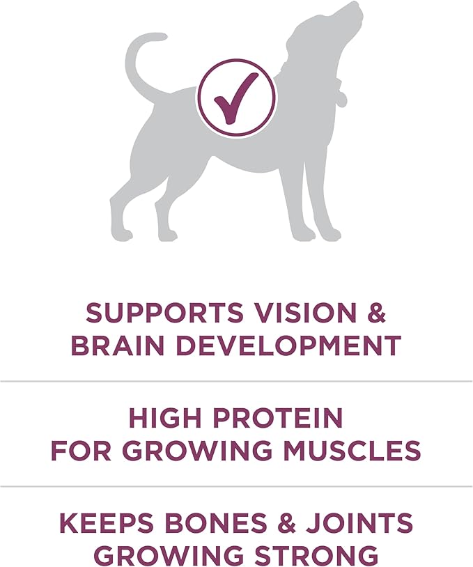 Purina ONE Plus Healthy Puppy Formula High Protein Natural Dry Puppy Food with added vitamins, minerals and nutrients - 8 lb. Bag