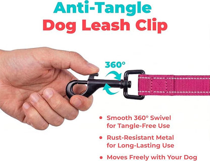 Best Pet Supplies Voyager Reflective Dog Leash or Collar with Neoprene Handle, for Small, Medium, and Large Breed Puppies, Cute and Heavy Duty for Walking, Running and Training - Fuchsia (Leash), L