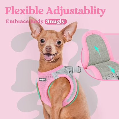 rabbitgoo Small Dog Harness, Step-in Soft Mesh Puppy Vest with Safety Buckle, Breathable Reflective Pet Harness for Small Sized Dogs, Pink & Gray M