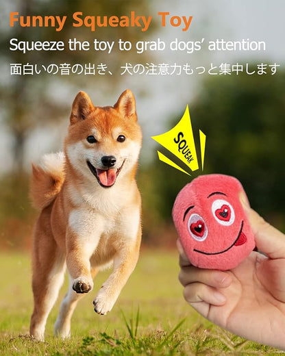 SCHITEC Squeaky Dog Toys, [6 Pack] Soft Stuffed Plush Balls with Squeakers, Interactive Fetch Play for Puppy Small Pets