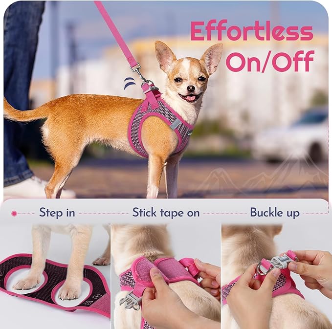 Eagloo Small Dog Harness and Leash Set, Step in Puppy Vest with Breathable Soft Mesh, Walking Reflective Pet Harness for Extra Small Dogs, Rose Red, XXS