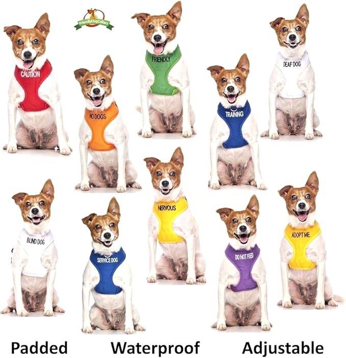 NERVOUS Yellow Color Coded 2 4 6 Foot Padded Dog Leash (Give Me Space) PREVENTS Accidents By Warning Others of Your Dog in Advance (Standard Leash)