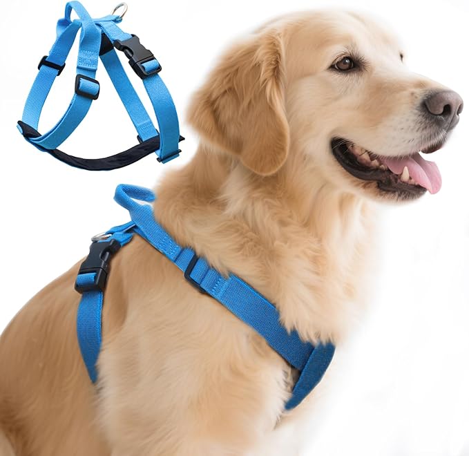 Galaxy Reflective Dog Harness,Adjustable 4-Point Fit,Anti-Pinch Buckles,Back-Clip Control & Emergency Handle,Velvet Lined for Small, Medium and Large Dogs, (Blue, L)