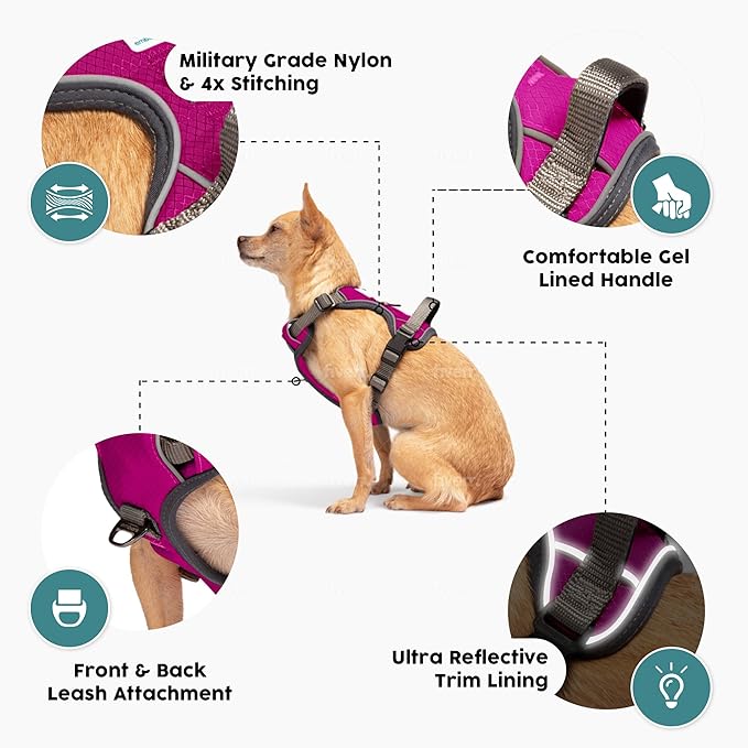Embark Adventure Large Dog Harness – No-Pull, Reflective Trim, Military-Grade Nylon, Front Clip with Gel-Lined Handle
