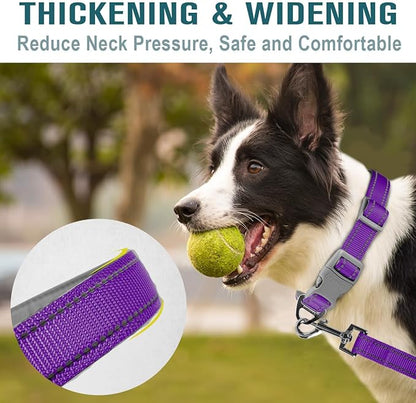 Dog Collar for Medium Small Large Dogs Reflective with Leash,Collar and Leash for Dogs,Soft Neoprene Padded 2 Pack(Purple,L)