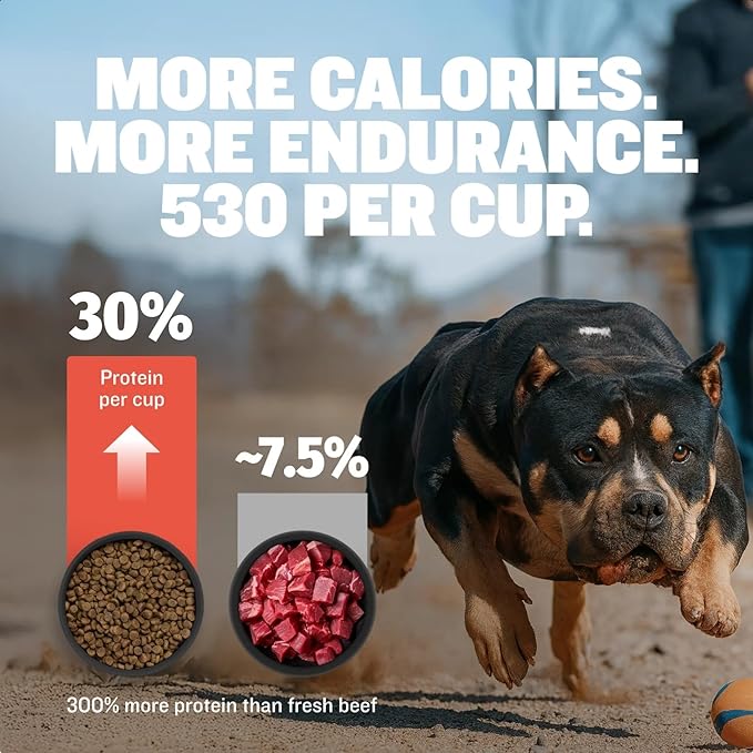 Bully Max Dry Dog Food for Adults & Puppies - High Protein & Fat for Muscle & Weight Gain - High Performance Dog Food Supplements - Small & Large Breed Dogs (530 Calories Per Cup), Beef, 40lb Bag