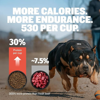 Bully Max Dry Dog Food for Adults & Puppies - High Protein & Fat for Muscle & Weight Gain - High Performance Dog Food Supplements - Small & Large Breed Dogs (530 Calories Per Cup), Beef, 15lb Bag