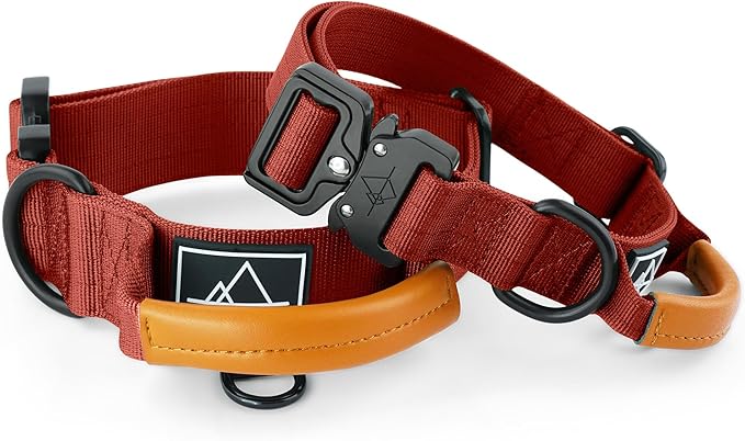 Made to ROAM Premium Explorer Control Collar - Adjustable Heavy Duty Nylon Dog Collar with Quick-Release Metal Buckle and Handle (Texas Flair, Control Size 3)