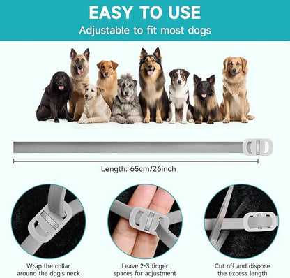 Flea and Tick Prevention for Dogs, 4 Pack Flea Collar for Dogs, Dog Flea and Tick Treatment, 32 Months Protection, Waterproof, Adjustable Collar for Dog, One Size Fits All for All Breeds, Grey