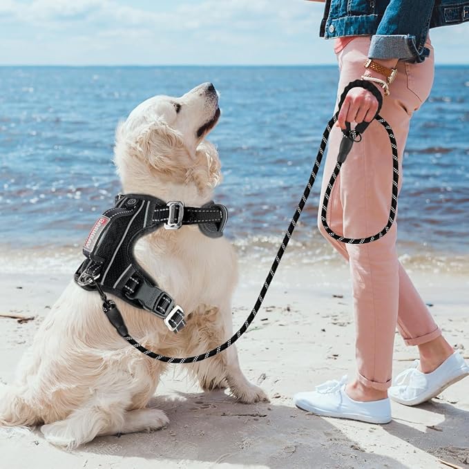 BARKBAY No Pull Dog Harness 3 Buckles Large Reflective Dog Harness with Front Clip and Easy Control Handle for Walking Training Running with ID tag Pocket(Black,M)
