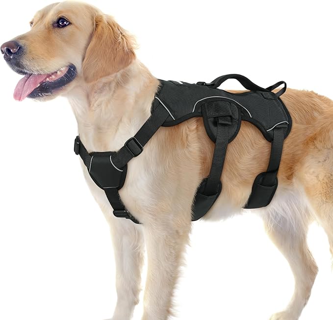 rabbitgoo Escape Proof Dog Harness, Soft Padded Full Body Pet Harness, Reflective Adjustable No Pull Vest with Lift Handle and Leash Clip for Large Dogs Walking Hiking Training, L, Black