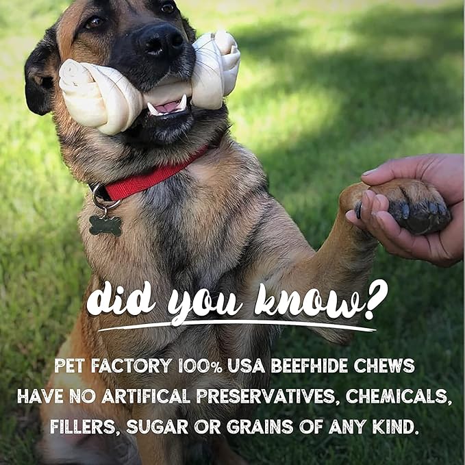 Pet Factory 7in Braided Beefhide Dog Chew Sticks with Peanut Butter Flavor - 100% USA Made Rawhide Chews for Medium Dogs,Long Lasting Dental Health,7 inches,6 Count (Pack of 2)