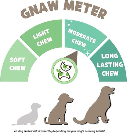 Nature Gnaws Beef Trachea Chews for Dogs 6" (6 Count) - Long Lasting Natural Crunchy Dog Chew Bones - Rawhide Free (Pack of 2)