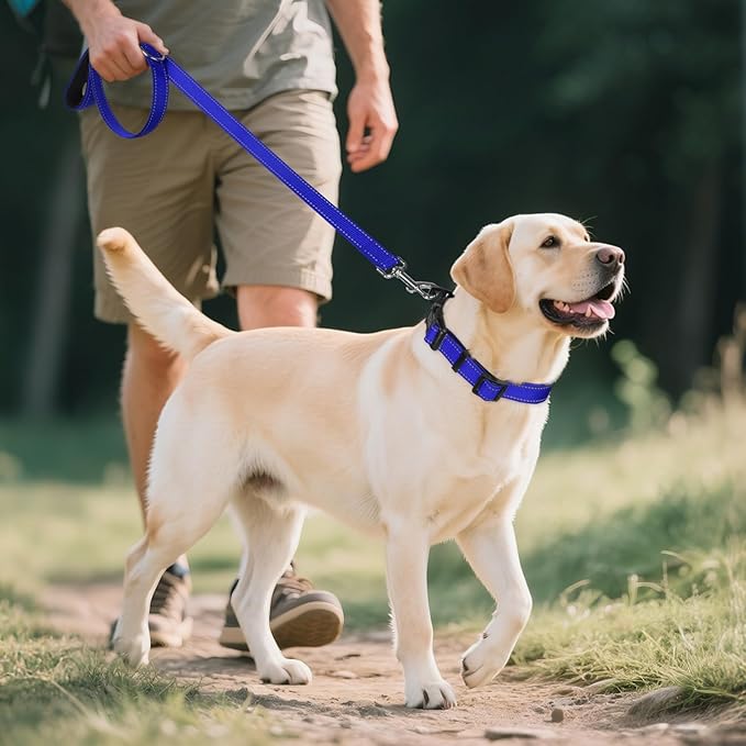 Joytale Reflective Dog Collar, Soft Neoprene Padded, Metal D-Ring, Nylon Pet Collar Adjustable for Extra Large Dogs, Royal Blue, XL