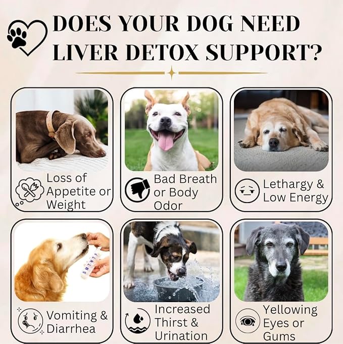 Advanced Liver Support Supplement for Dogs – Milk Thistle, Turmeric, Same & Choline – Liver Detox, Kidney Support, Immunity & Metabolic Boost – Organic Ingredients, Natural Chicken Flavor – 90 Chews