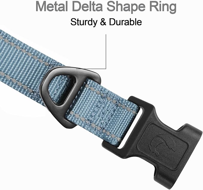 Joytale Reflective Dog Collar, Soft Neoprene Padded, Metal D-Ring, Nylon Pet Collar Adjustable for Small Dogs, Gray, S