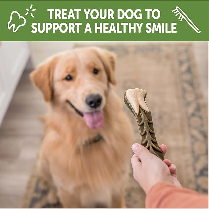 Whimzees Wellness Brushzees Dog Dental Treat, VOHC Accepted Chews, Freshens Breath, Large Size, 12.7 oz Bag, 6 Count