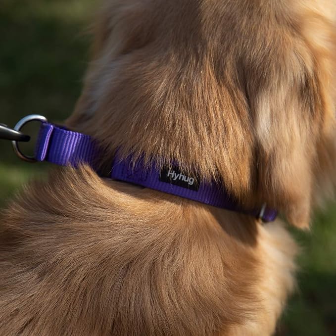 Hyhug Martingale Collar for Dogs Extra Large Purple |Escape - Proof Heavy Duty Nylon Durable No Pull, Ideal for Training & Daily Walks
