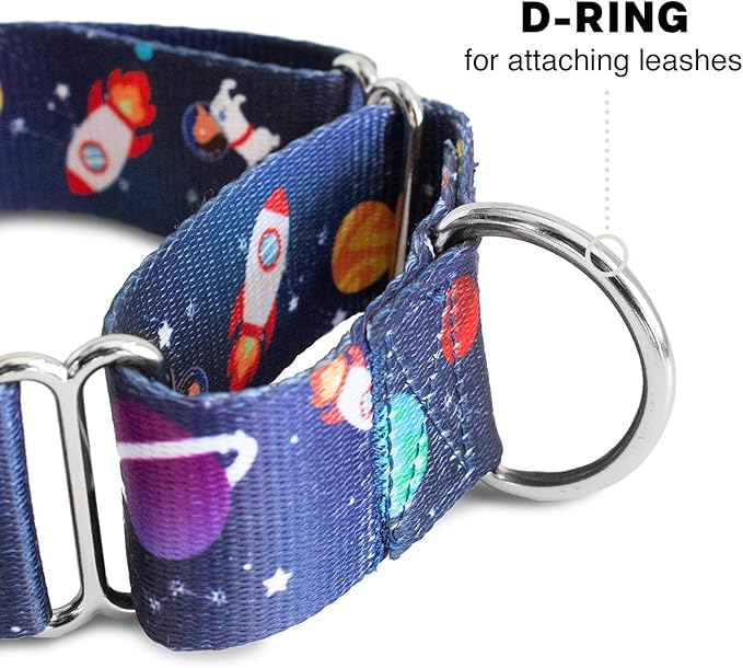 Downtown Pet Supply - Martingale Collar for Dogs - Dog Training Collar - Big, Wide & Thick Dog Collar - Escape-Proof, Weatherproof, Durable and Comfortable - Space - Large Dog Collar