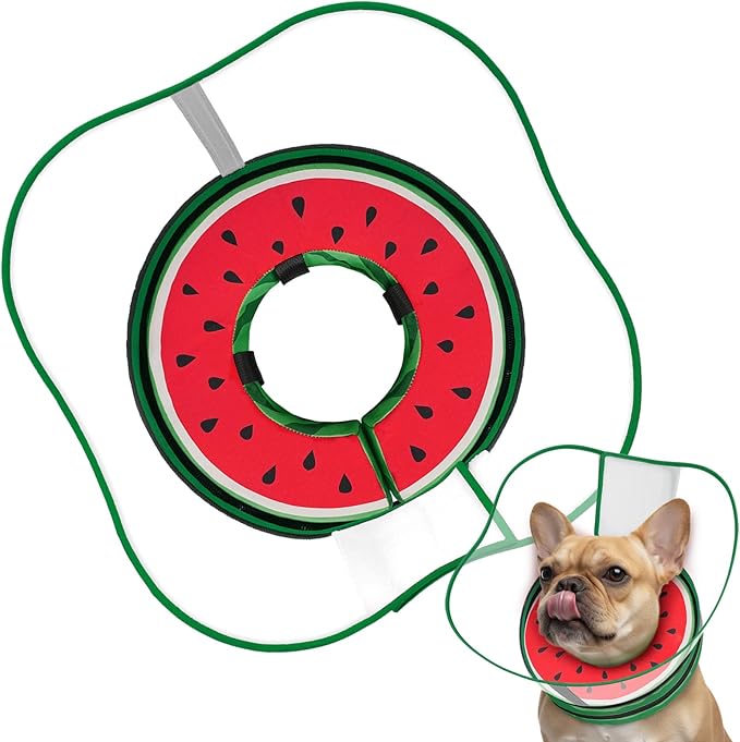 Sponge Dog Cone Collar, Dog Recovery Collar Alternative with Detachable High Clear Shield, Adjustable Soft Neck Cone for Small Medium Large Dogs, Stop Licking After Surgery (Watermelon,M)