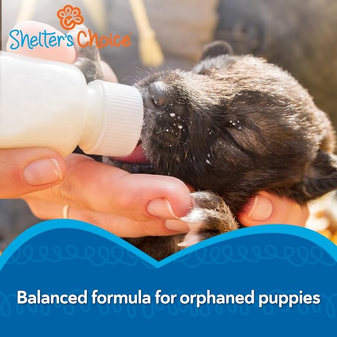 Shelter's Choice Puppy Milk Replacer, Milk for Abandoned Puppies or Puppies Born in Shelters, Provides Complete Nutrition, Supports Healthy GI Tract, and is Easy to Mix, 1 lb