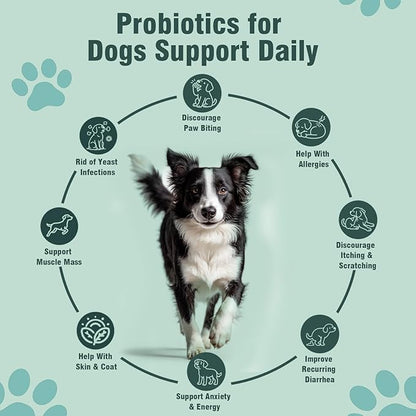 Probiotics for Dogs, 200 Soft Chews, Support Gut Health, Diarrhea Relief, Seasonal Allergies, Dog Probiotic Chews for Itchy Skin & Dog Yeast Infection, Chicken Flavor