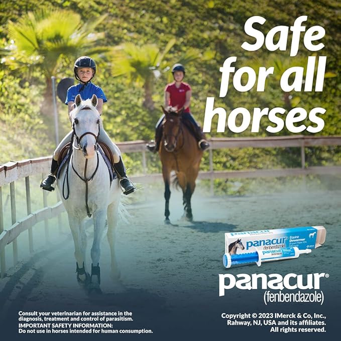 (3 Pack) PANACUR Dewormer Horse Paste 10%, 100mg Each