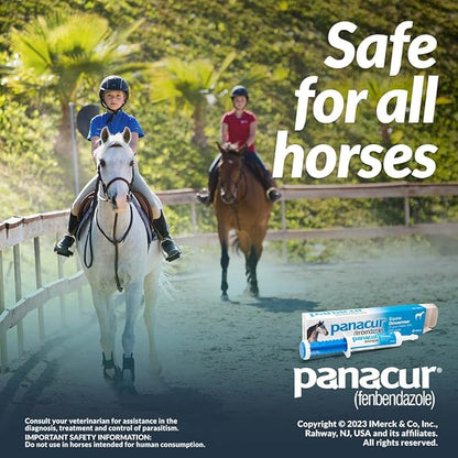 (3 Pack) PANACUR Dewormer Horse Paste 10%, 100mg Each