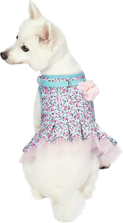Blueberry Pet Soft & Comfy Made Well Cute Floral No Pull Mesh Dog Costume Harness Dress in Light Blue, Chest Girth 19"-21", Small, Adjustable Harnesses for Dogs