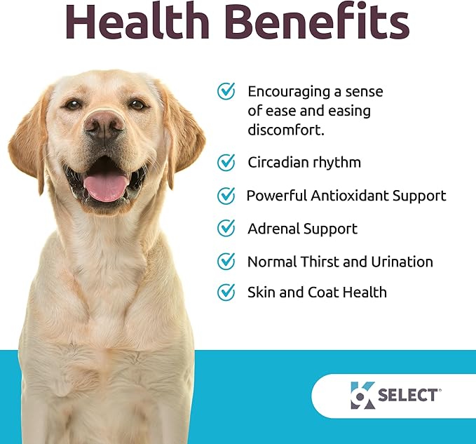 K9 Select Dog Melatonin for Large Dogs - Composure Dog Calming Chews - Canine Melatonin for Sleep - Reduce Stress for Large Canines - 6 mg, 90 Beef Flavored Chewable Tablets