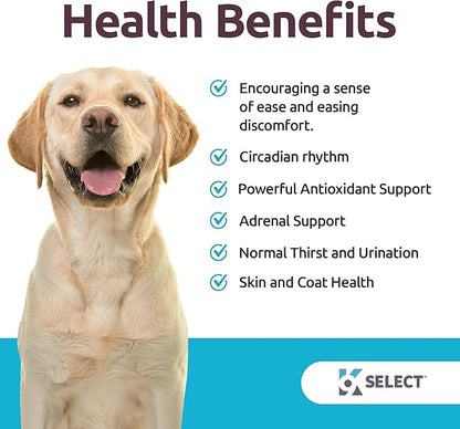 K9 Select Dog Melatonin for Large Dogs - Composure Dog Calming Chews - Canine Melatonin for Sleep - Reduce Stress for Large Canines - 6 mg, 90 Beef Flavored Chewable Tablets