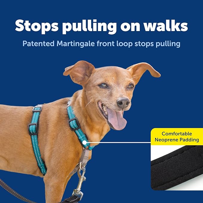 PetSafe 3-in-1 Harness - Comfortable Easy-Walk Dog Chest Harness with Front Leash Attachment to Reduce Pulling, Choking & Gagging - Dog Obedience Gear - Extra Small - Teal