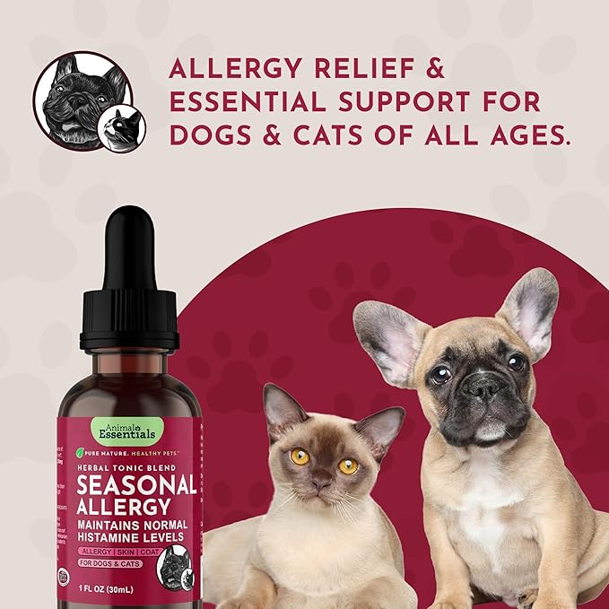 Animal Essentials Seasonal Allergy Treatment for Dogs - Liquid Herbal Support for Dogs & Cats, Wellness Supplement for Sensitive Skin & Seasonal Comfort, Licorice Tincture, 100% Organic - 1 fl oz