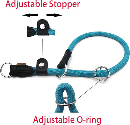 Braided Round Martingale Dog Collar, Training Collar with Slidable Stop Ring and Adjustable Stopper - Ideal for Small Dogs (S(1/4") - 14" Long, Light Blue)