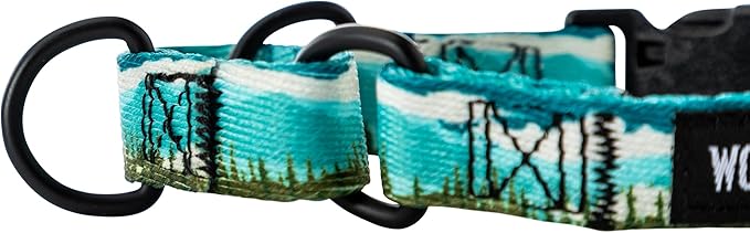 Wolfgang Heavy Duty Martingale Dog Collar with Quick Release Nylon Buckle for Walking & Training, GreatEscape Print, Large