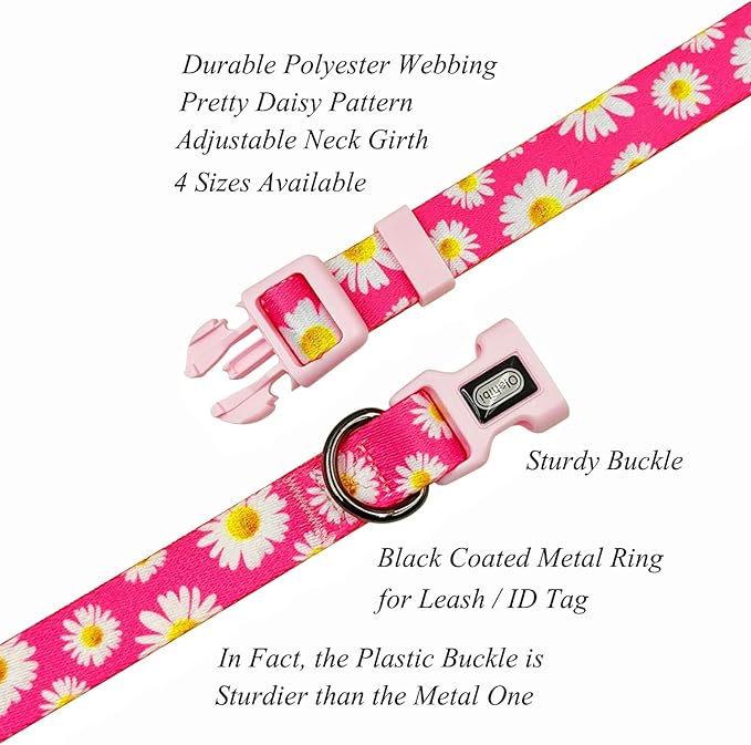 Dog Collar and Leash Set, Cute Pink Daisy Pattern, Polyester Material, 5ft Leash, for Small Dogs.(S, Daisy Set)
